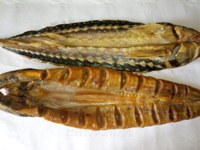 ����� �� ������ 