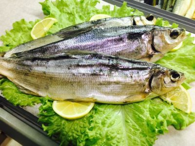 ����� �������� �������